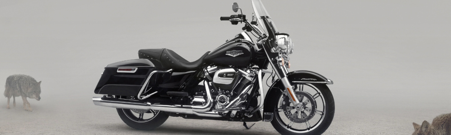 2020 Harley-Davidson® Touring Road King for sale in Route 65 Harley-Davidson®, Indianola, Iowa